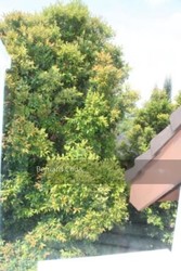 Binjai Crest (D21), Terrace #182467912